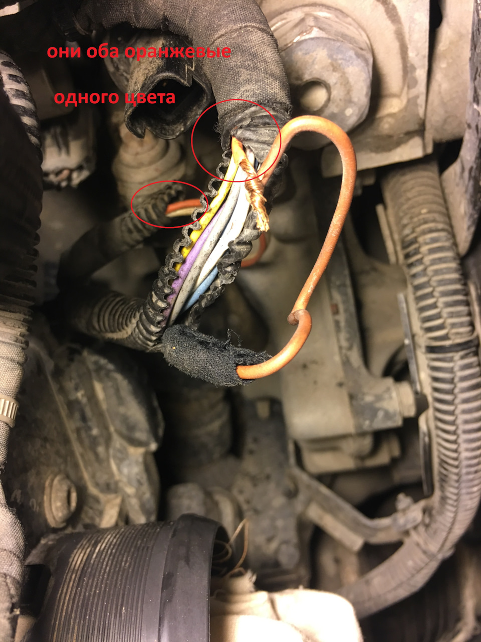 Что за провод и как чинить? — Peugeot 308 (1G), 1,6 л, 2012 года ...