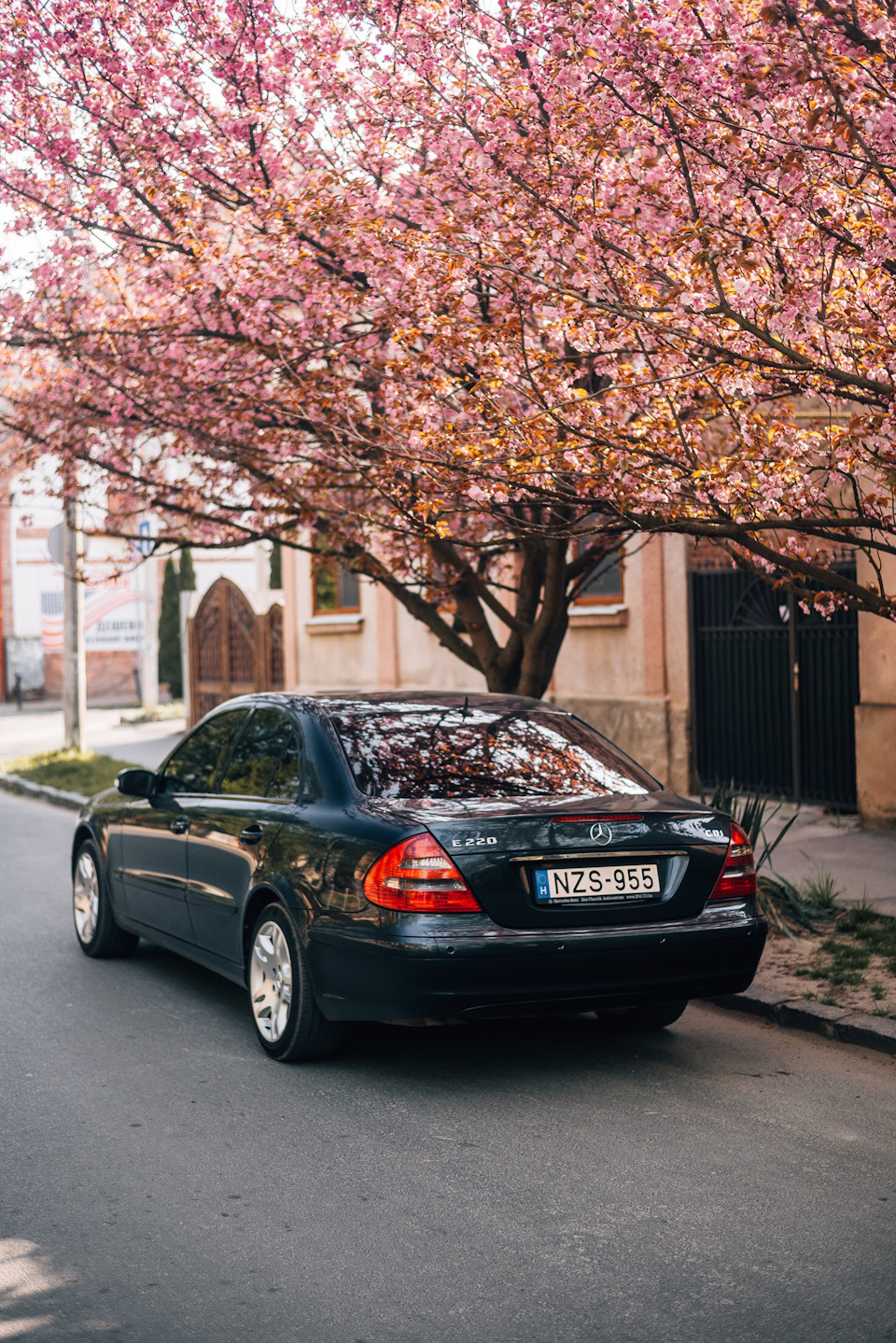 Сакура Закарпаття — Mercedes-Benz E-class (W211), 2,2 л, 2005 года |  фотография | DRIVE2