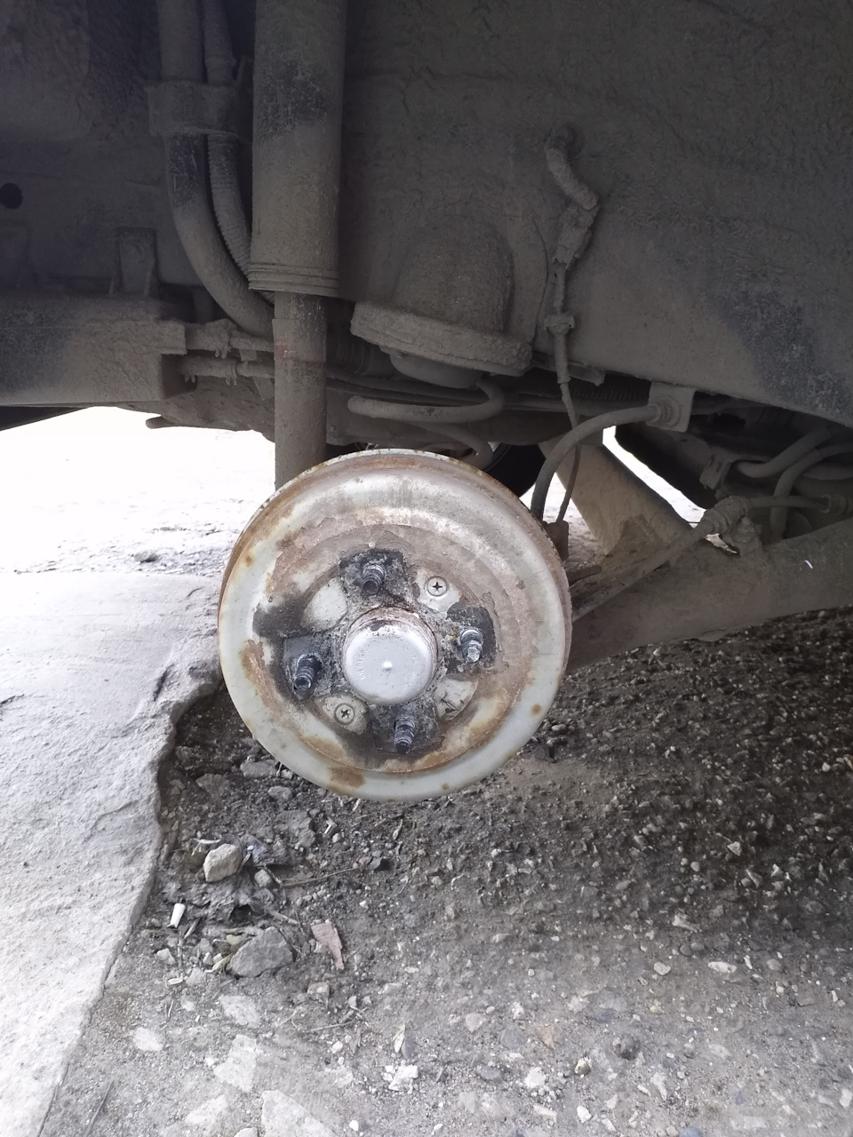 рыжие — Chevrolet Aveo 5-door (1G)