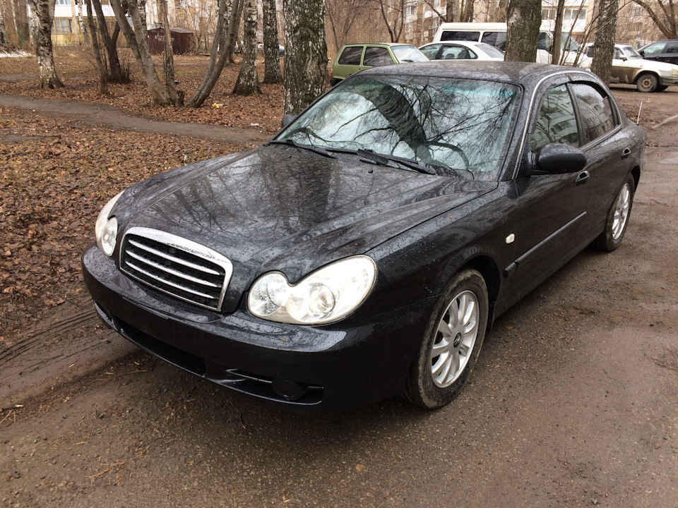 Открасили. — Hyundai Sonata IV (EF), 2 л, 2007 года | кузовной ремонт ...
