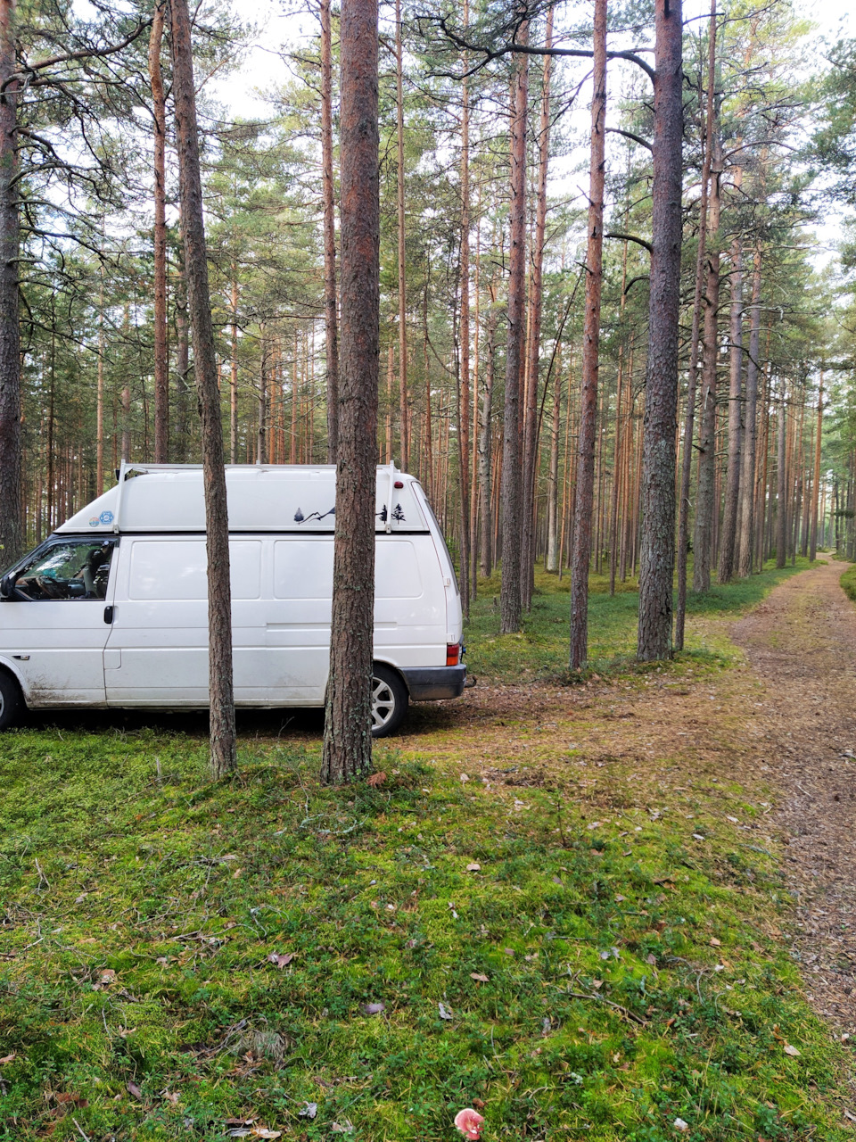 Дороги, Вэн и Жизнь. Про VanLife в аренду. — Сообщество «Кемпинг» на DRIVE2