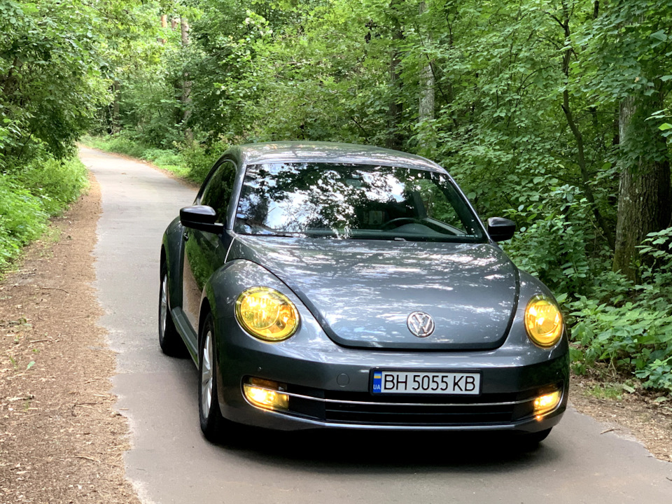 Желтые фары и птф, прям как ПОРШЕ — Volkswagen Beetle (A5), 1,8 л, 2015 ...