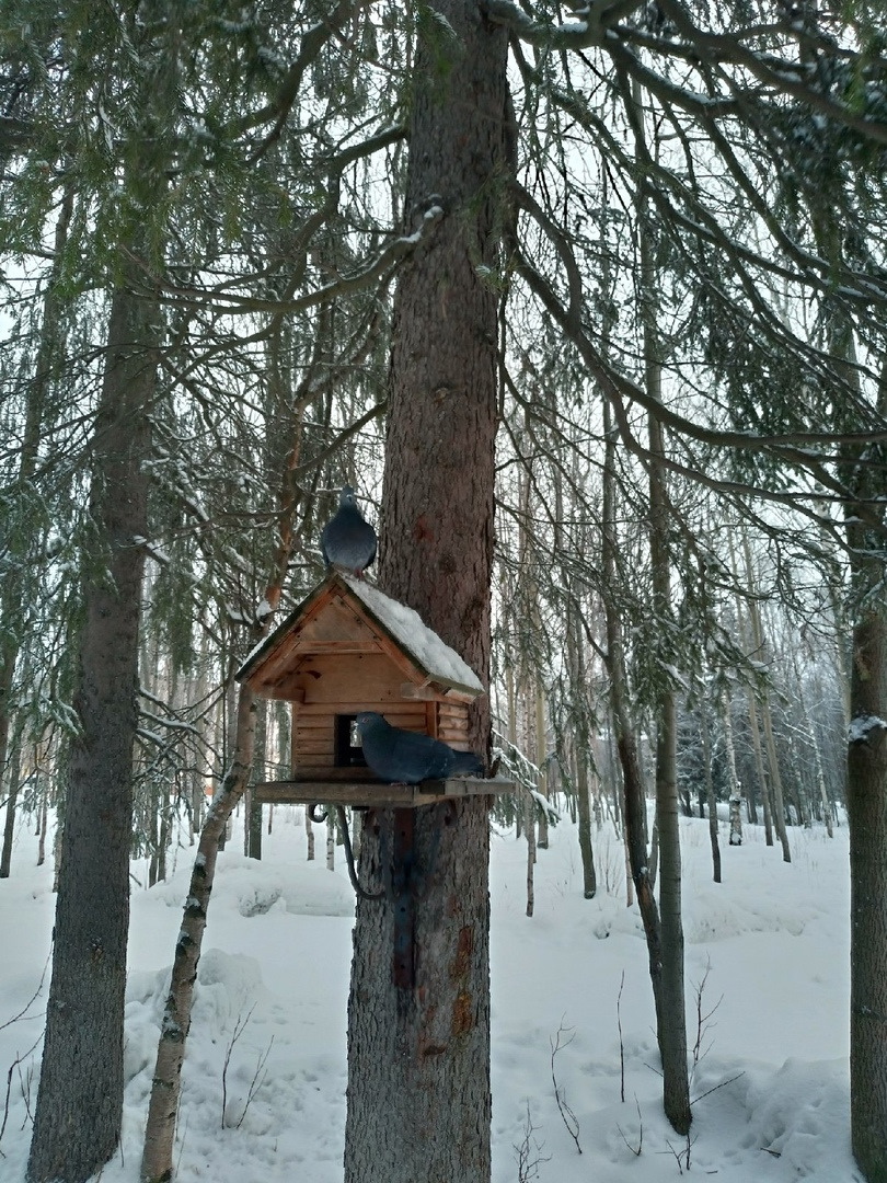 что посмотреть в ковдоре