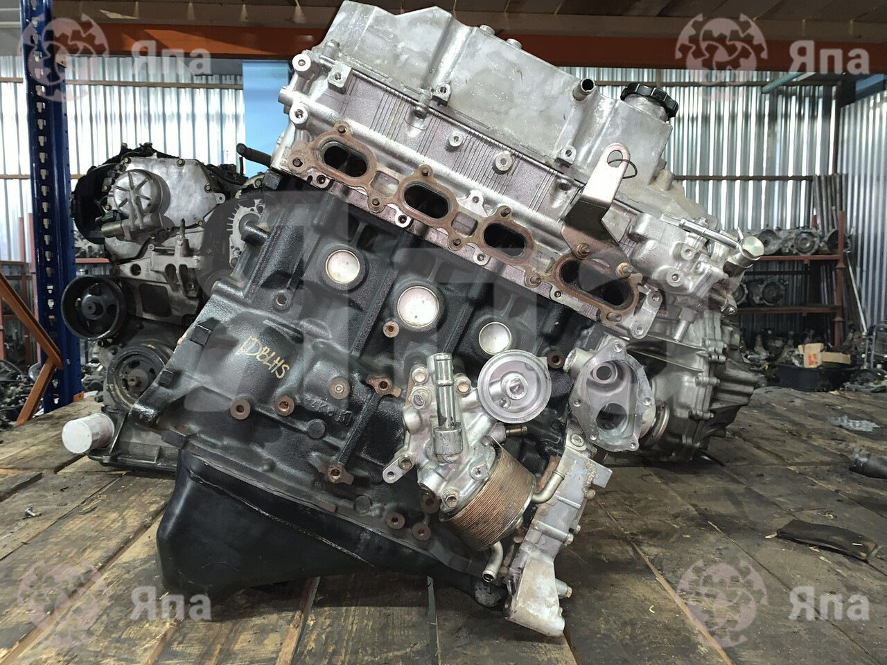 4d56 двигатель. Мотор 4d56. 4d56 Mitsubishi Pajero Sport engine. Двигатель 4d56 2012. 4d56 common Rail.