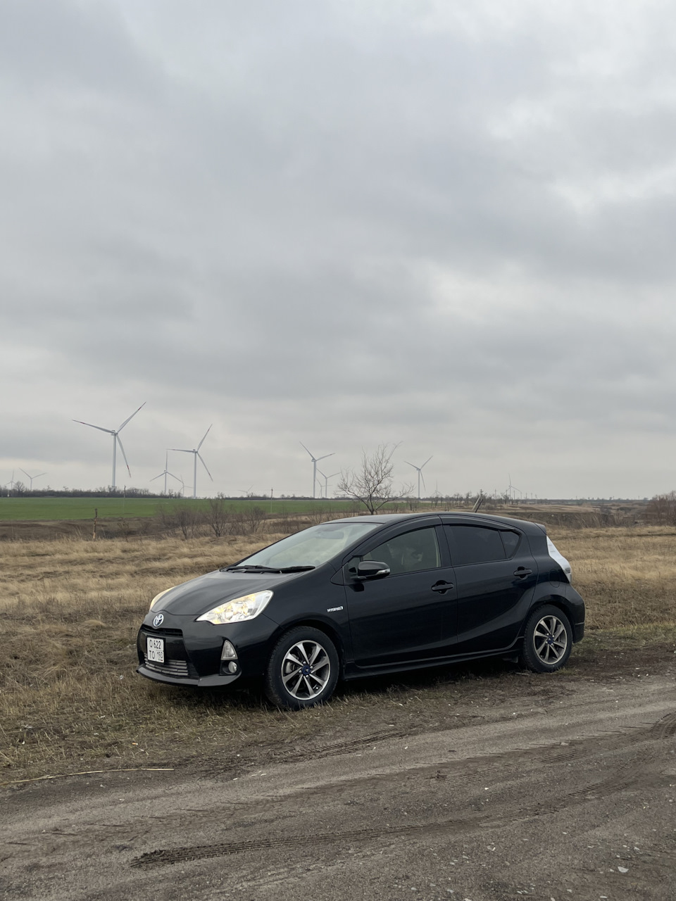 Покупка, первое ТО, перегон в Москву и прочее — Toyota Aqua, 1,5 л, 2014  года | покупка машины | DRIVE2