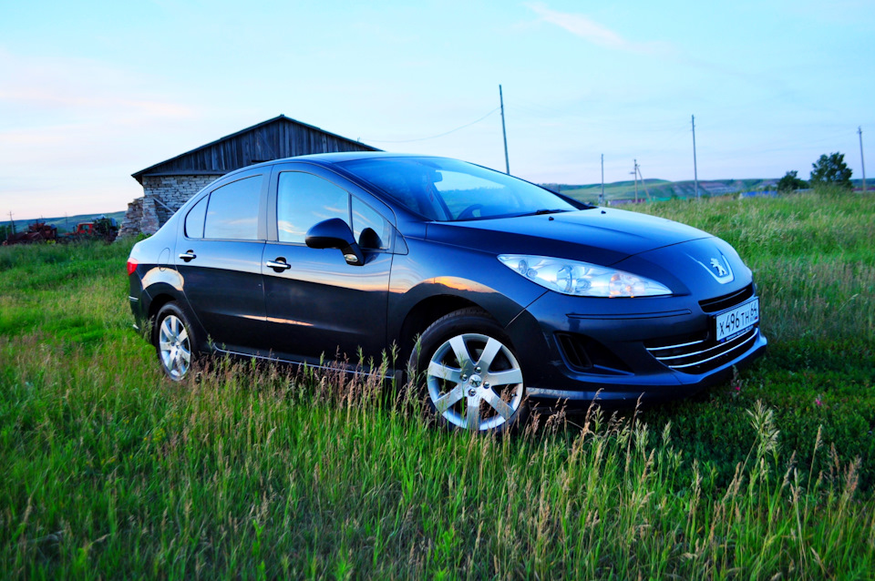 Владельцы пежо. Пыжик 408. Peugeot 408 bleu. Пыж 408.