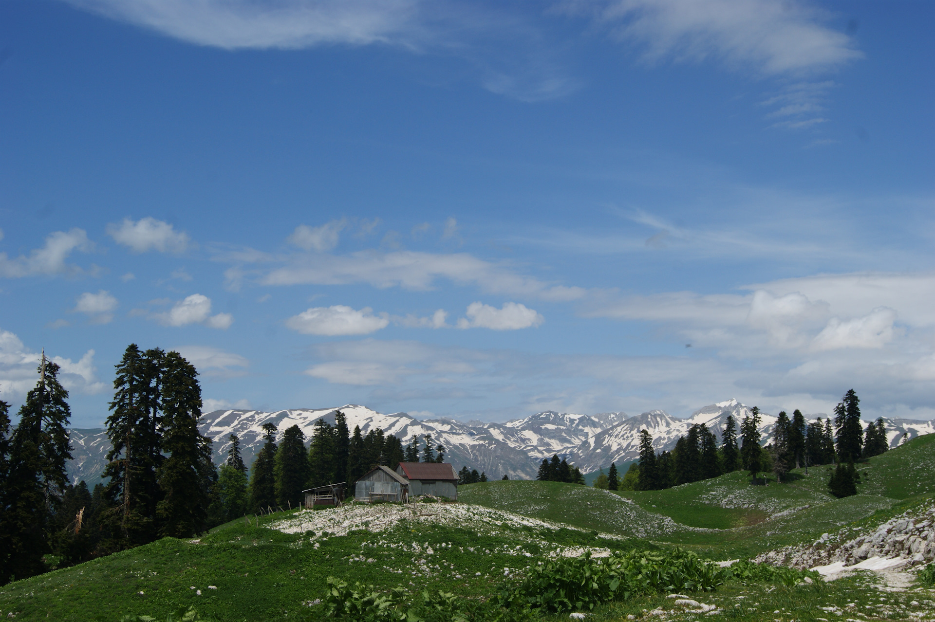 Абхазия в мае фото