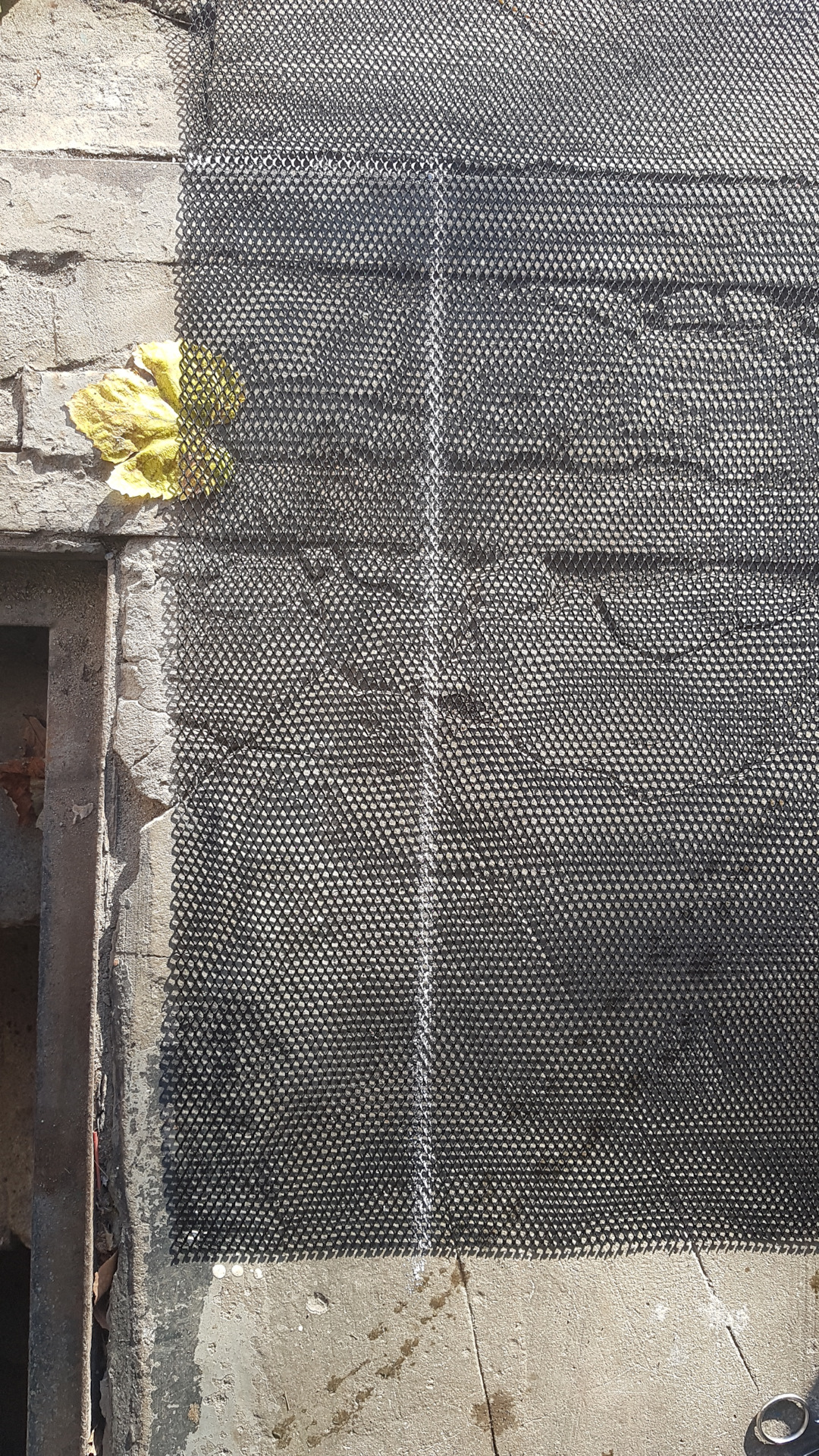 Защитная сетка в решетку радиатора и нижнюю решетку бампера — Nissan ...