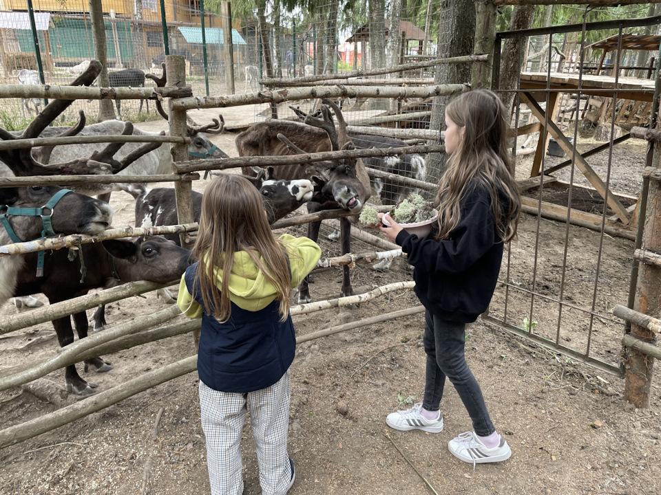 Фото в бортжурнале Cadillac Escalade (3G)