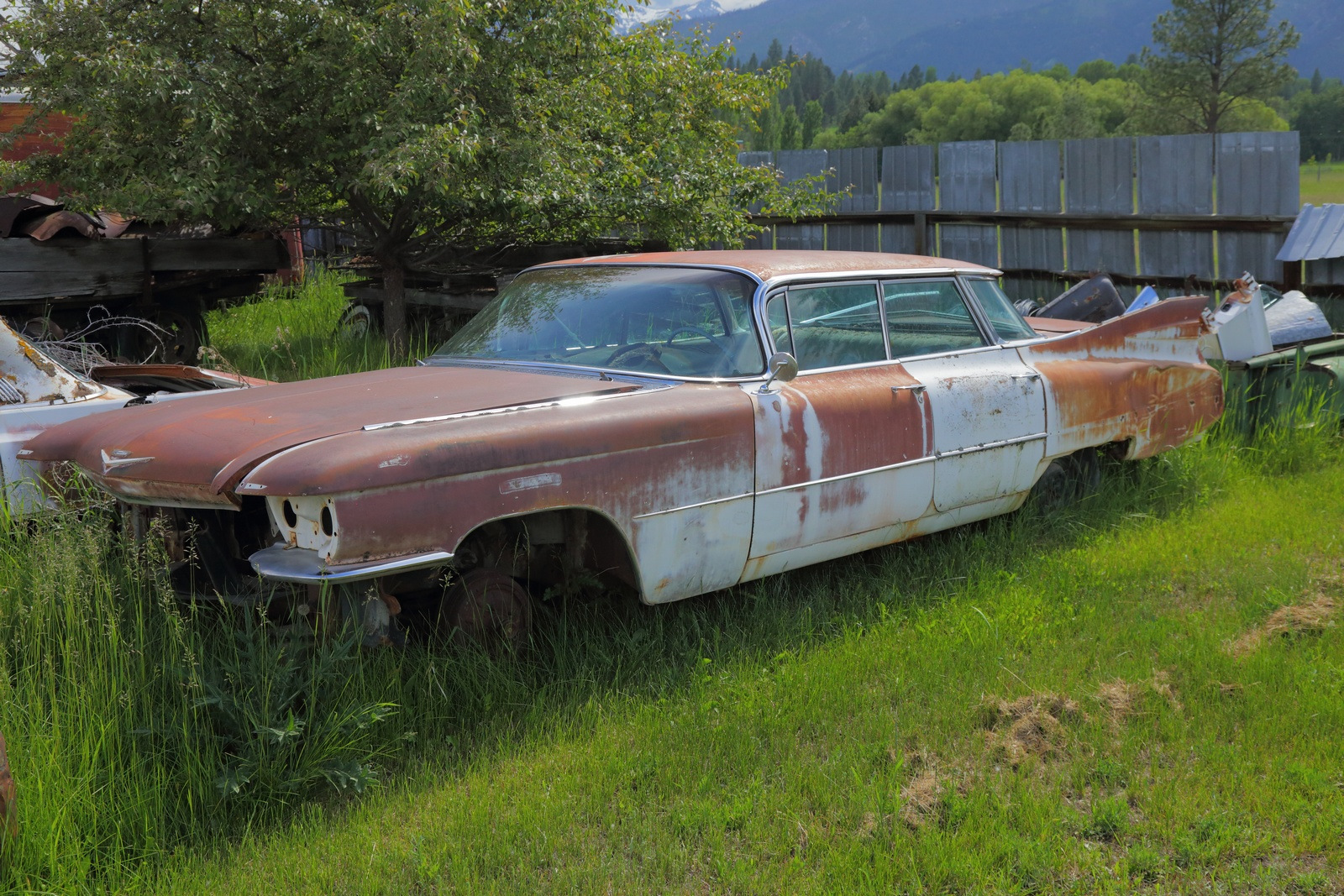 Cadillac Sixty Special 1953