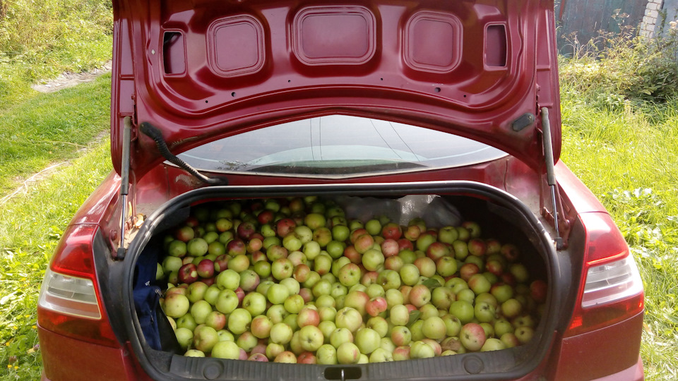 Renault Megane RedApplЕ