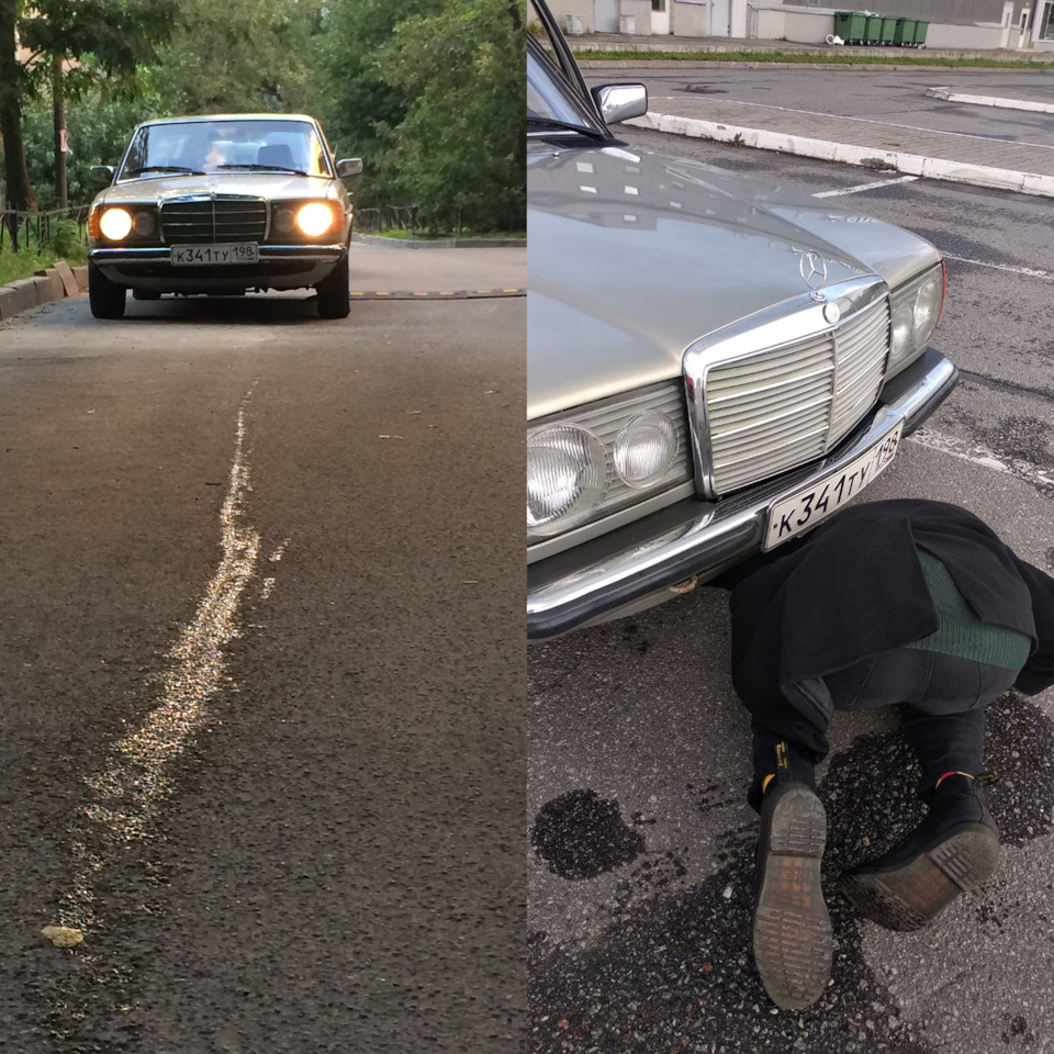 Первые сотни километров — Mercedes-Benz W123, 2 л, 1981 года | наблюдение |  DRIVE2