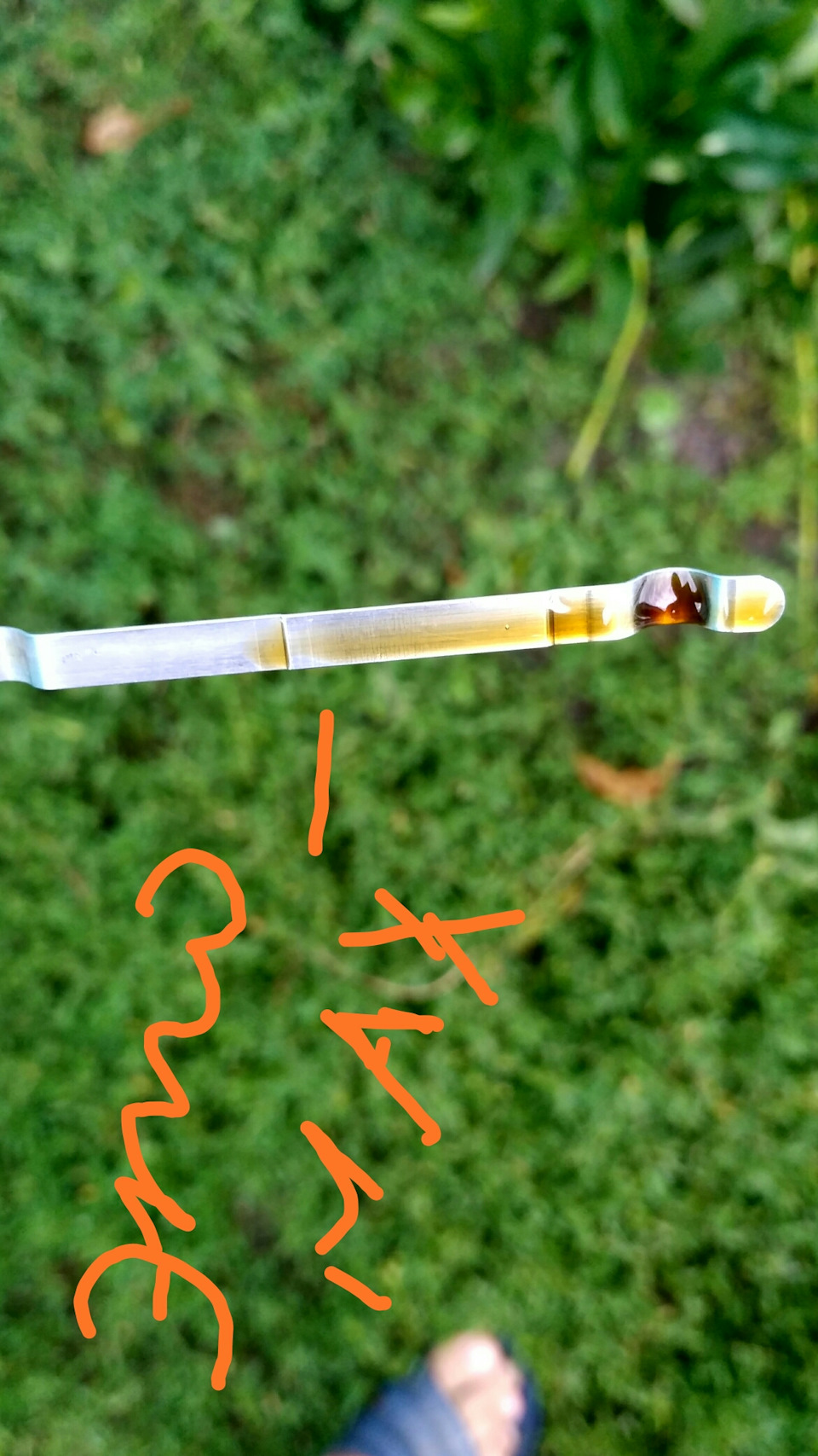 Масленный щуп — LADA XRAY, 1,6 л., 2016 года | наблюдение | DRIVE2