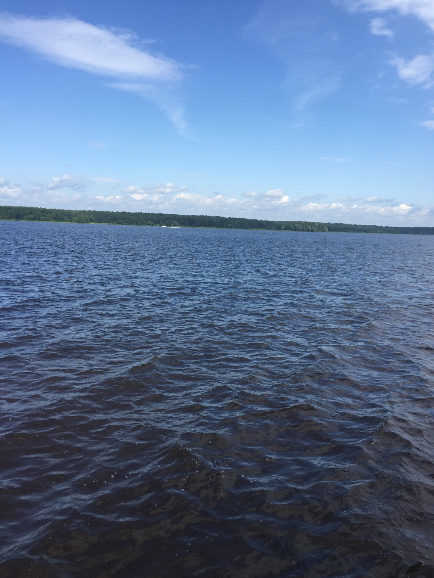 Белозерск пляж белое озеро