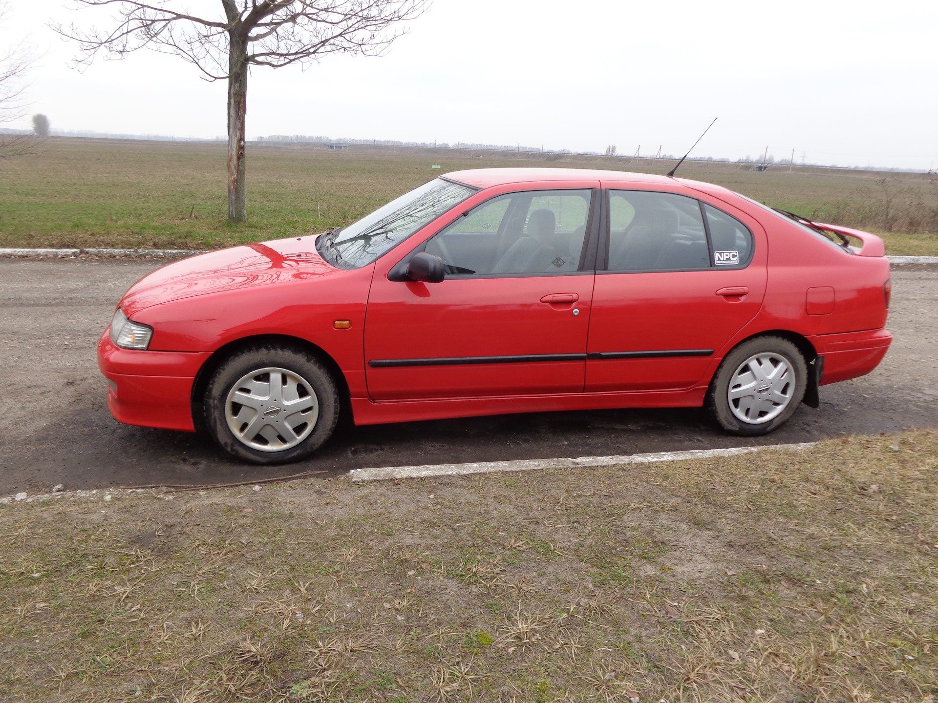 Ниссан примера 1.6. Nissan primera p11 стиль. Nissan primera 1.6 at, 1998. Nissan primera 1.6 Comfort. Nissan primera p11 сарай.