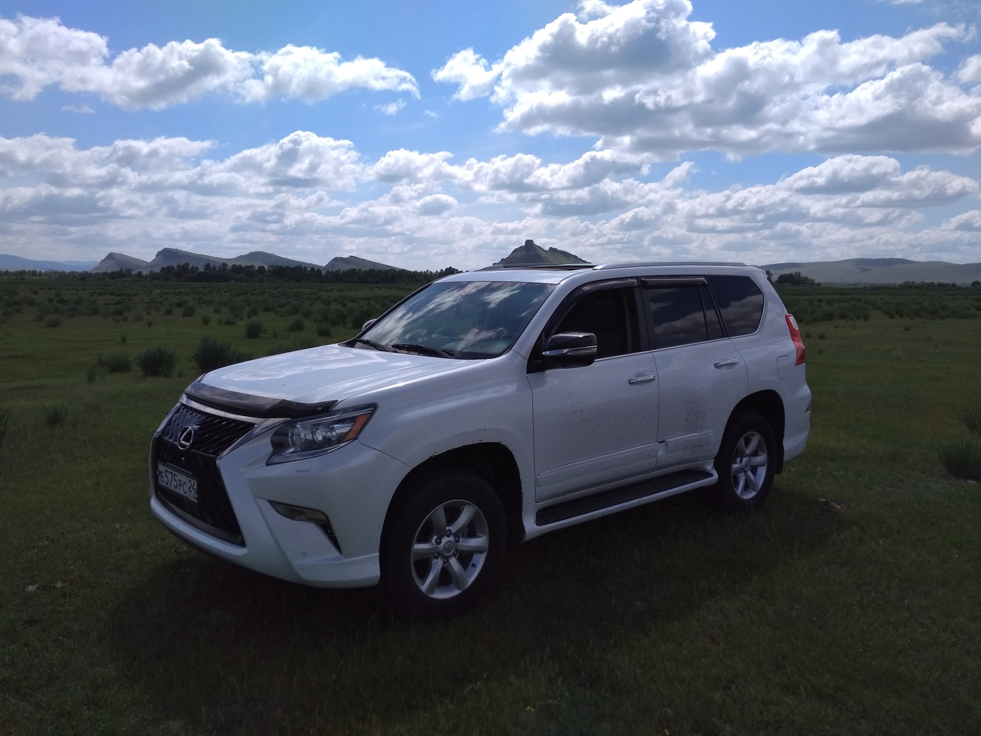 Очиститель битумных пятен — рекомендую! — Lexus GX (URJ150), 4,6 л, 2010  года | мойка | DRIVE2