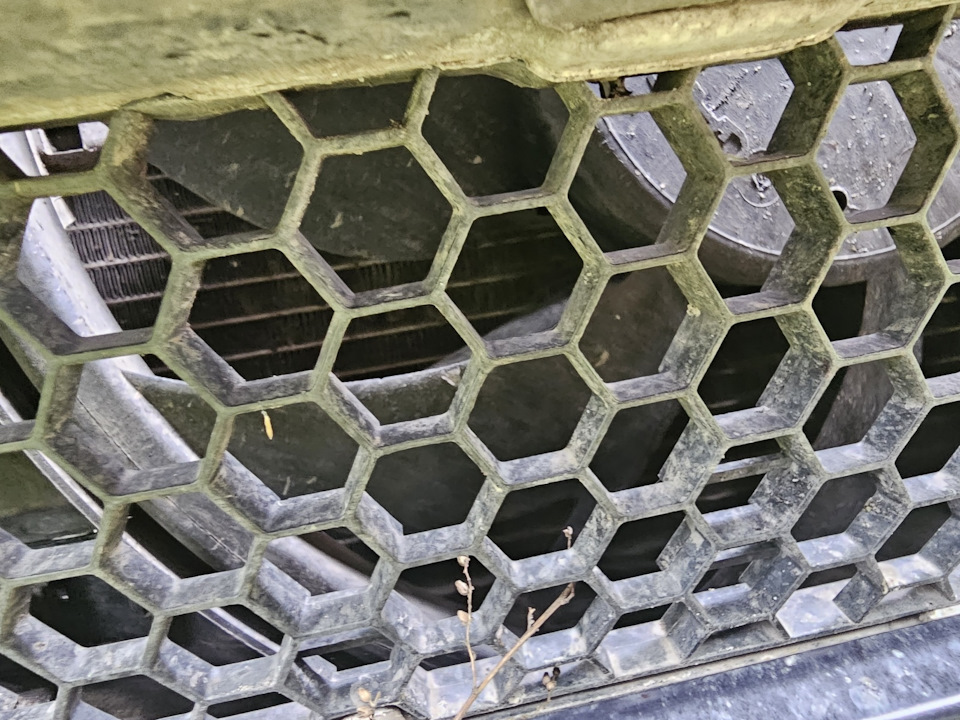 Сильно греется до 110, Peugeot 206. — Peugeot 206, 1,4 л, 2008 года ...