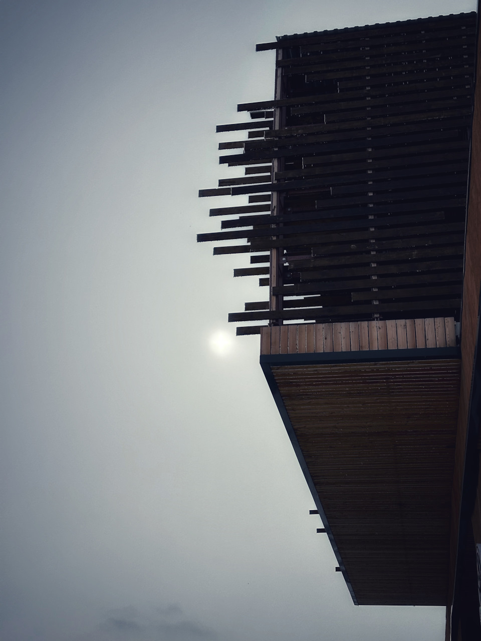 плохое настроение. цитаты про людей которые лезут в чужую жизнь. лезть не в свое дело. спокойно лезть. коты в воскресенье утром.