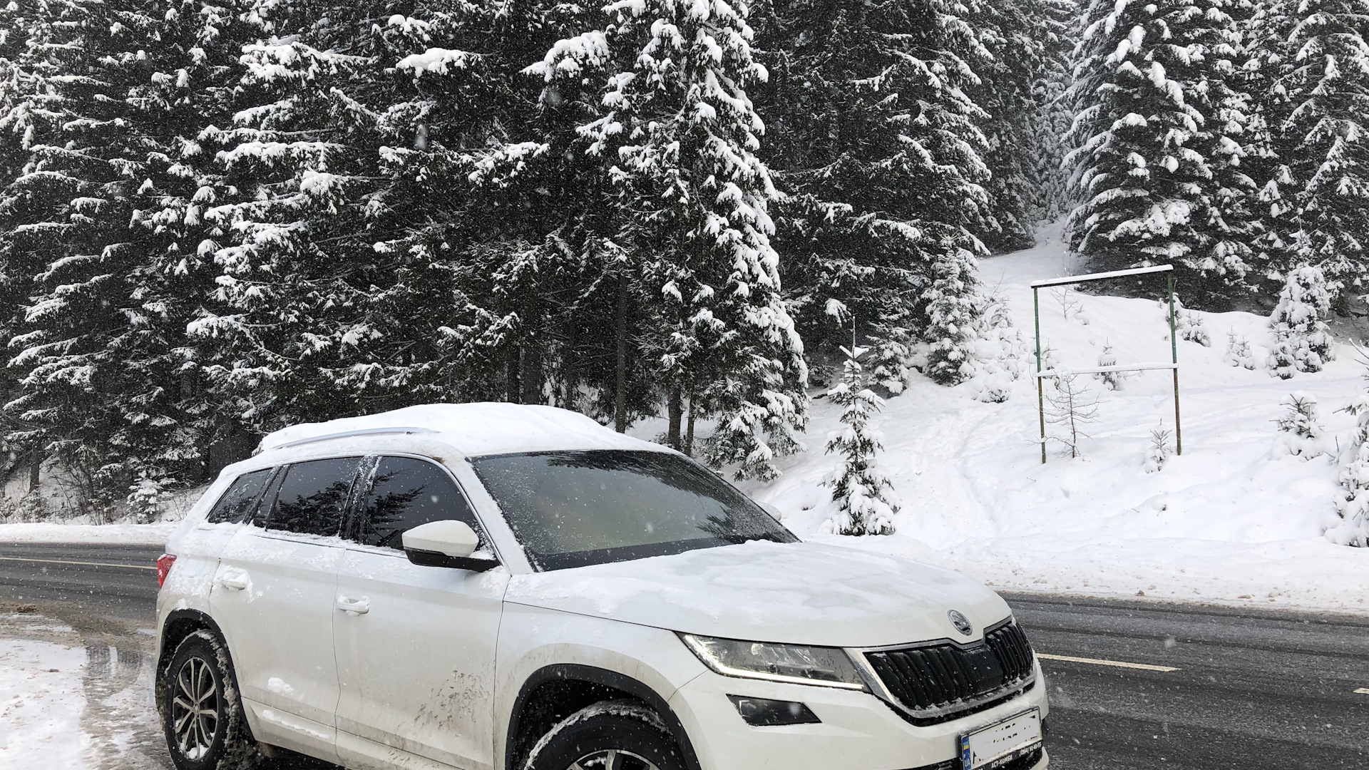 Skoda Kodiaq 2.0 дизельный 2017 | 2.0 tdi 150 лошадей на DRIVE2