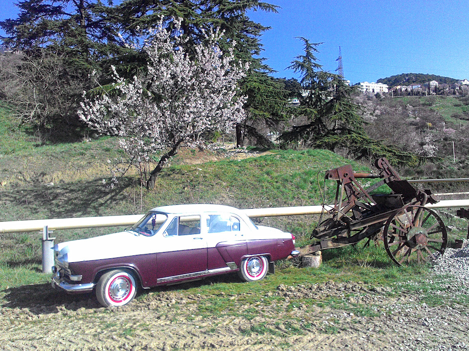 Немного весенних фото — ГАЗ 21, 4,3 л, 1962 года | покатушки | DRIVE2