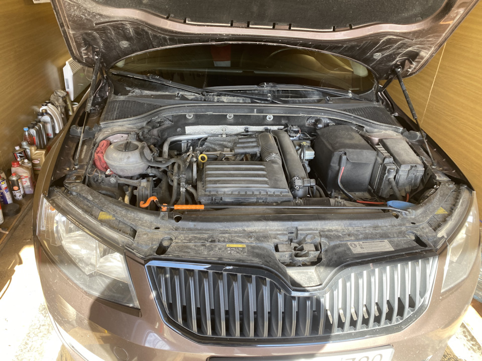 Фото в бортжурнале Skoda Octavia A7 Mk3