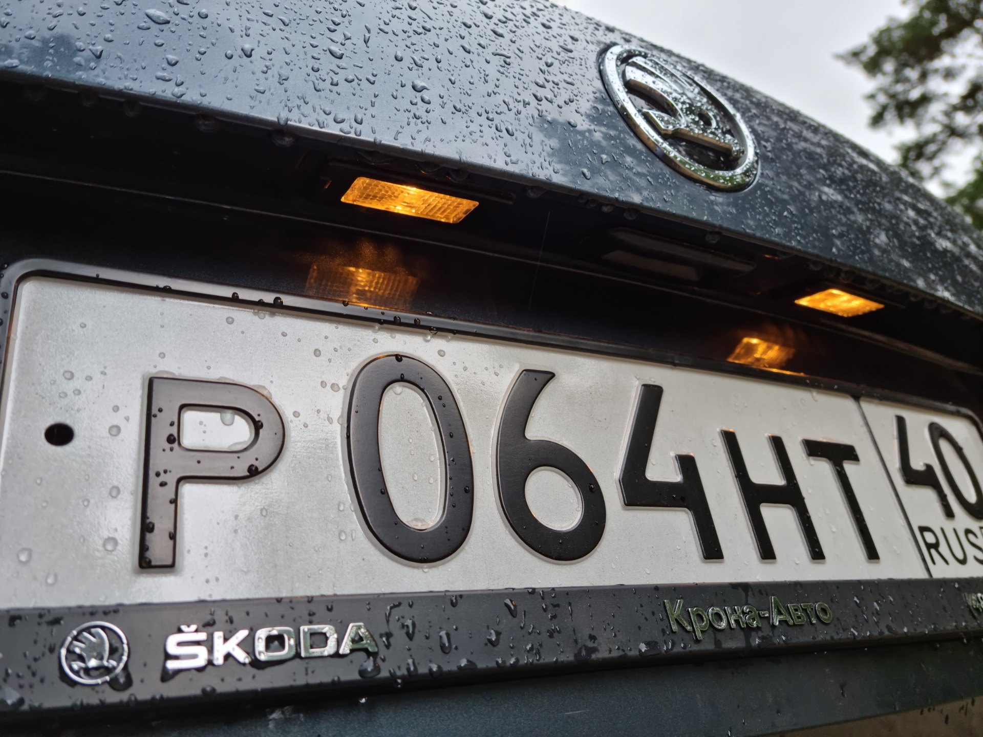 Подсветка номера гранта фл. Проверьте подсветку номерного знака skoda rapid. Какую подсветку номера поставить. Какие лампочки стоят в подсветке номера шкода октавия тур. Светодиодная подсветка номерного знака.