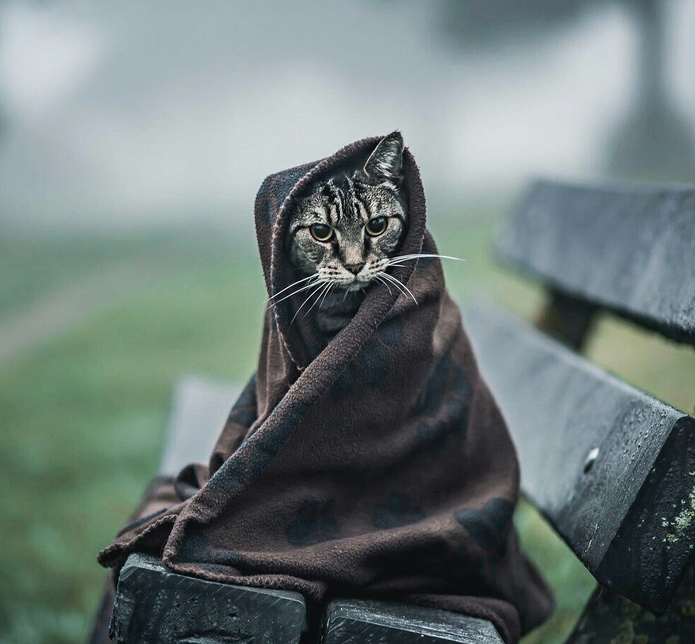 Печка очень плохо греет на холостых после замены радиатора [часть 1, решено] — Infiniti FX (1G ...