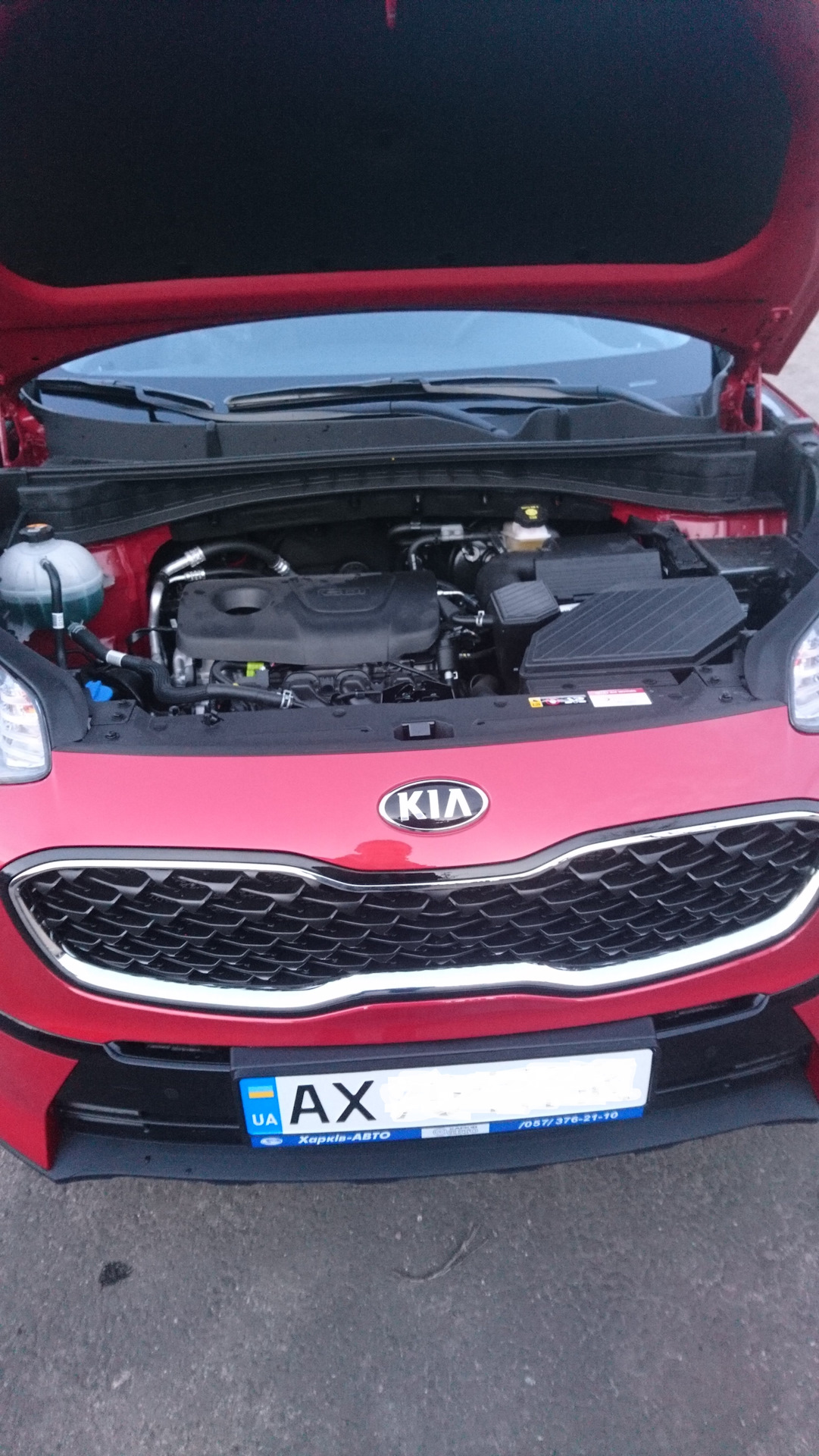 Укомплектован всем что нужно на первое время и покрыл жидким стеклом. — KIA Sportage (4G), 1,6 л