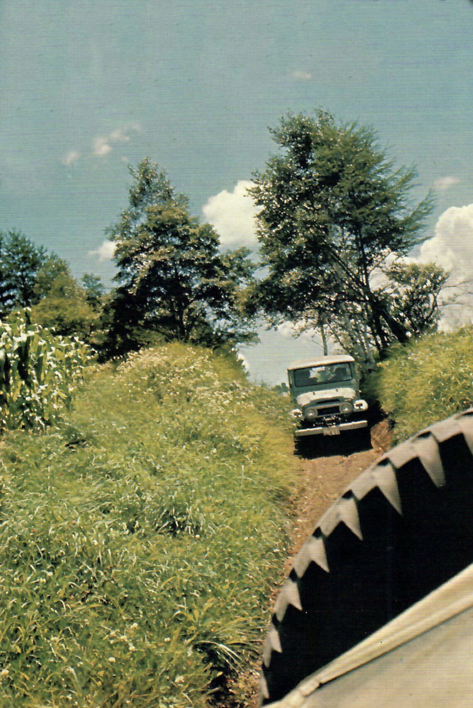 Фото в бортжурнале Toyota Land Cruiser 40