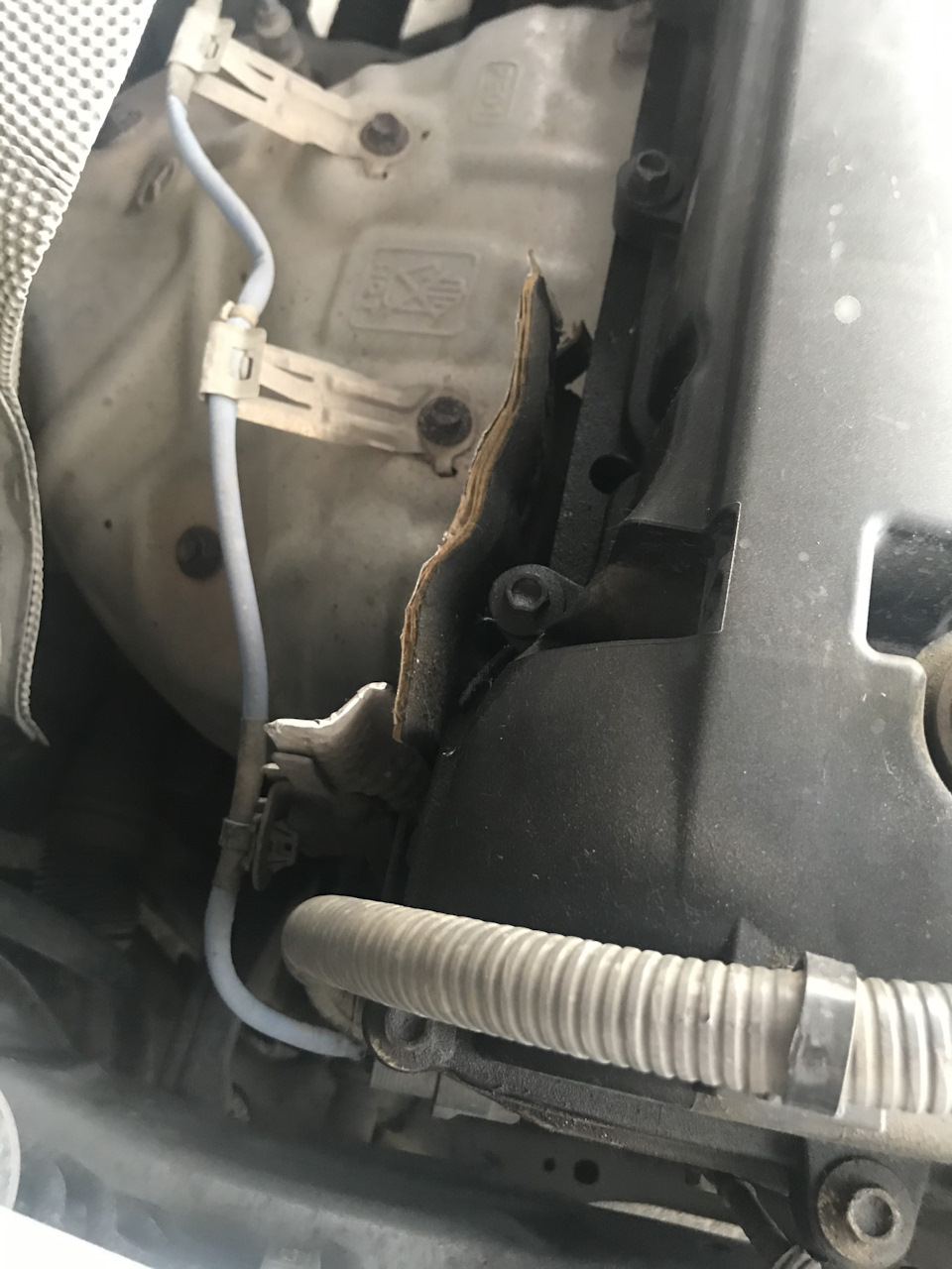 Хьюстон у нас появилось запотевание клапанной крышки, неприяточка ...