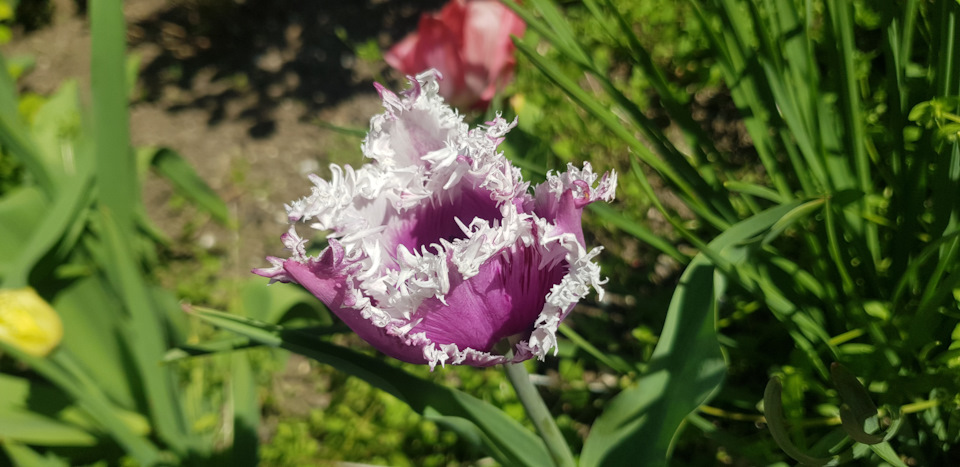 Фото в бортжурнале Honda Freed (2G)