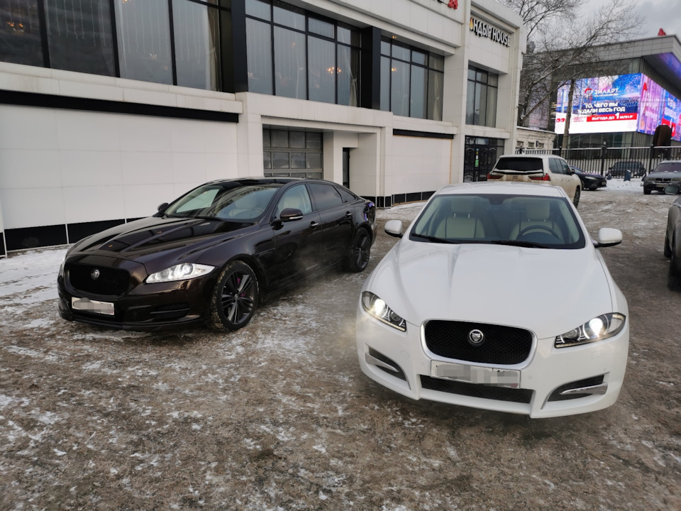 Автомойка «белая акула». Ягуар мойка. Jaguar xf на мойке. Jaguar xf на мойке. Ягуар мойка.