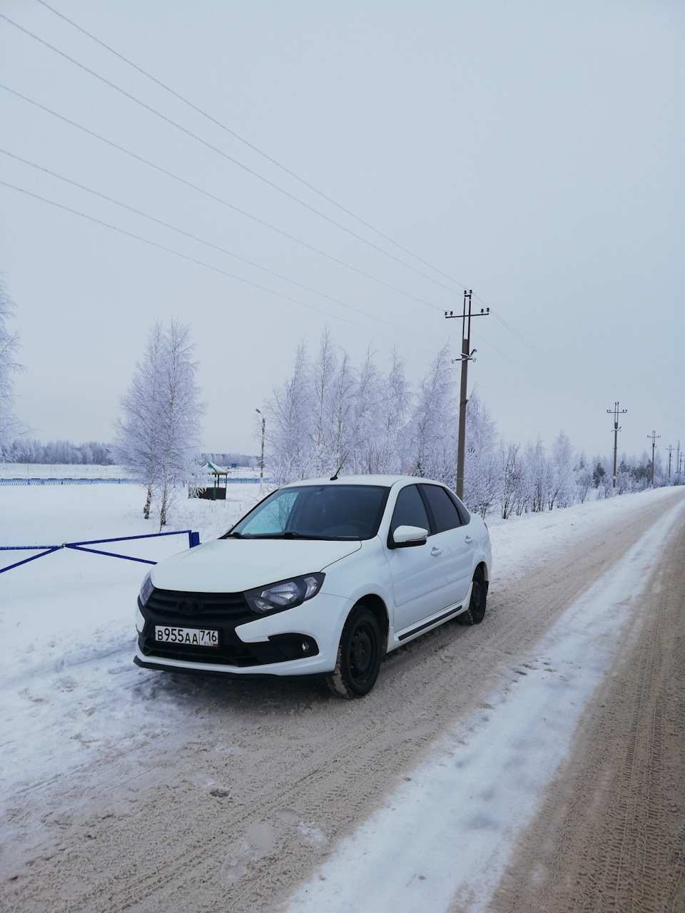 Белая гранта зимой