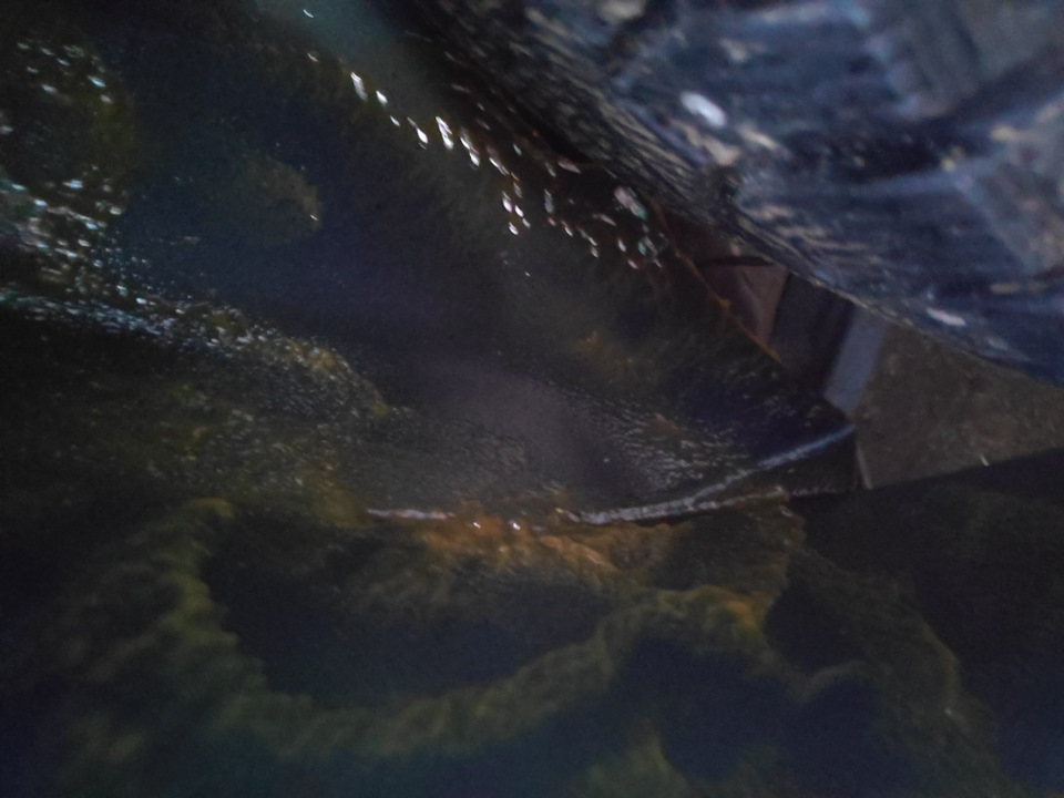 Фото в бортжурнале Ford Focus Hatchback II