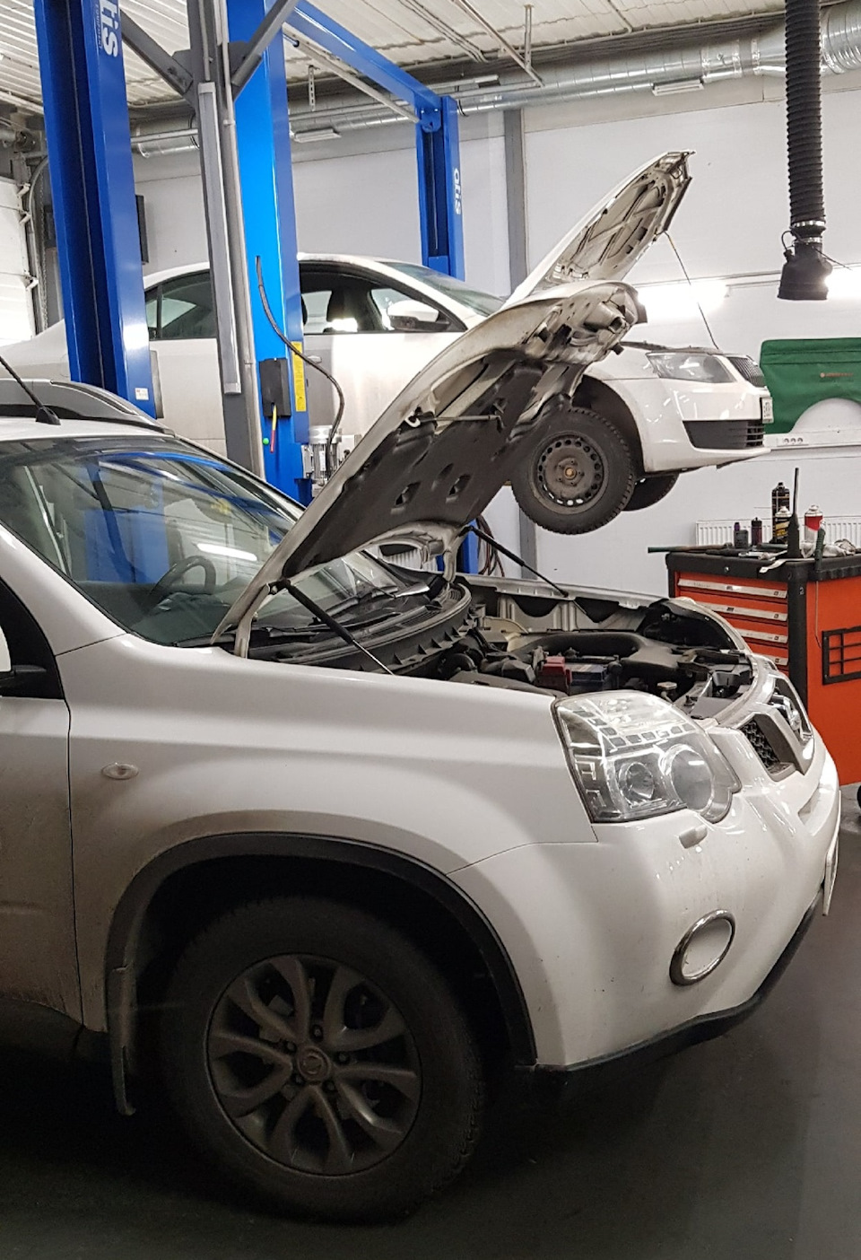 Задние тормозные диски и колодки — Nissan X-Trail II (t31), 2 л, 2011 ...