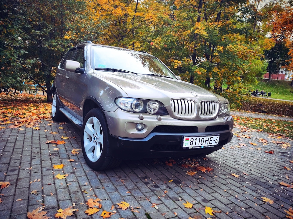 Фото в бортжурнале BMW X5 (E53)