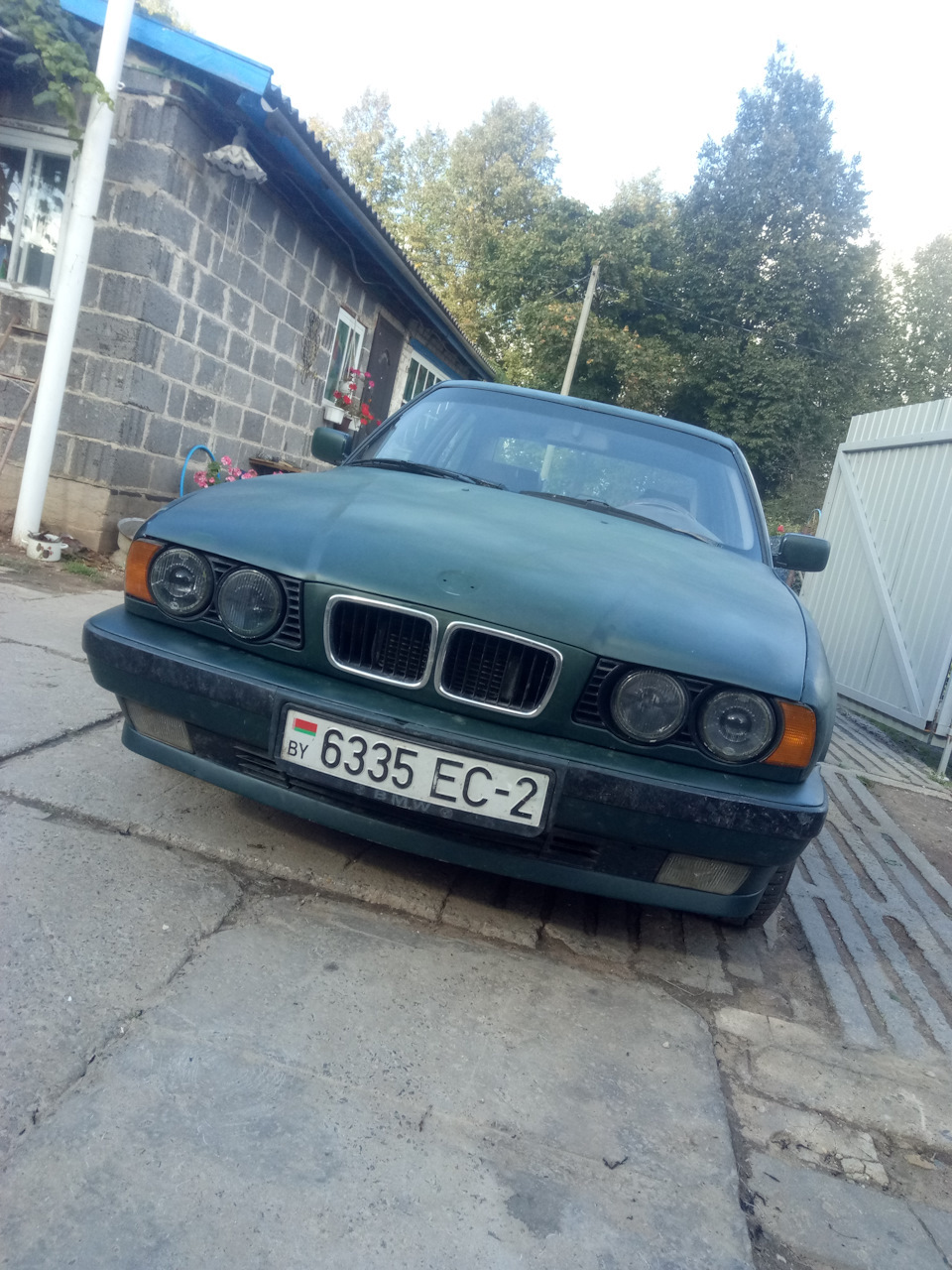 Думаю уже давно перекрасить машину в другой цвет монтаной — BMW 5 ...