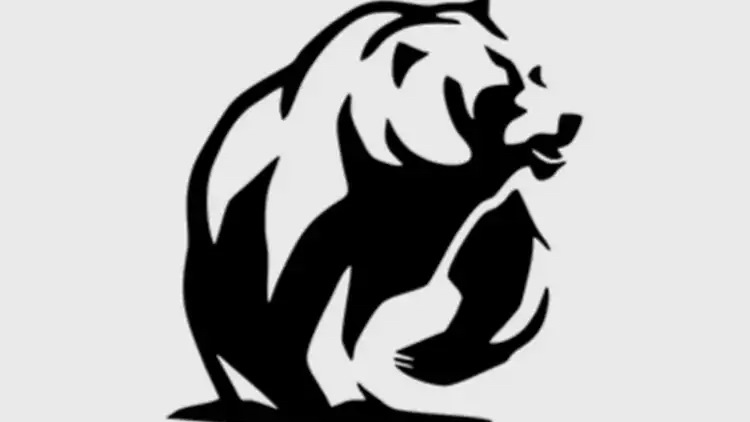 Skoda Kodiaq Шоколадка