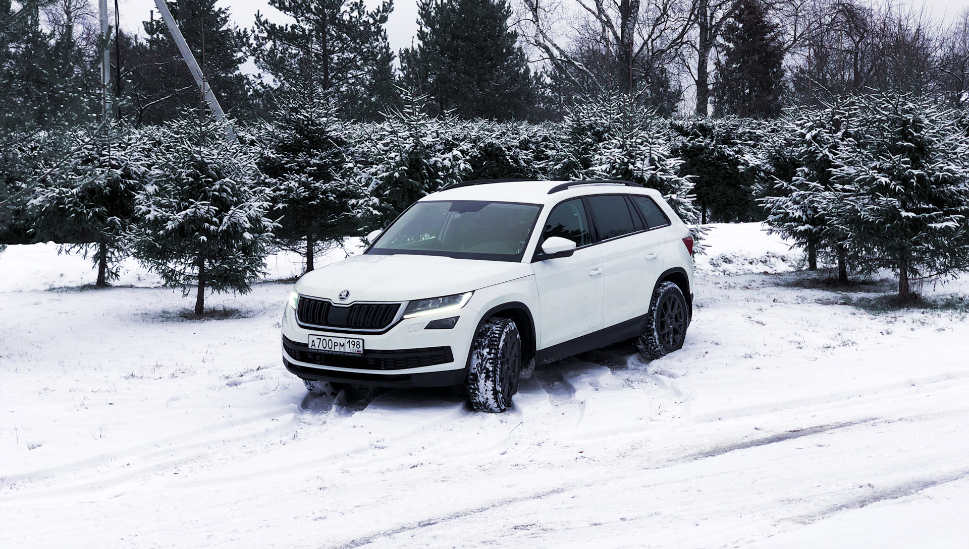 Дром зима. Skoda Kodiaq Winter. Шкода Кодиак белая зима. Шкода Кодиак 2.0 ТСИ. Skoda Kodiaq зима горы.