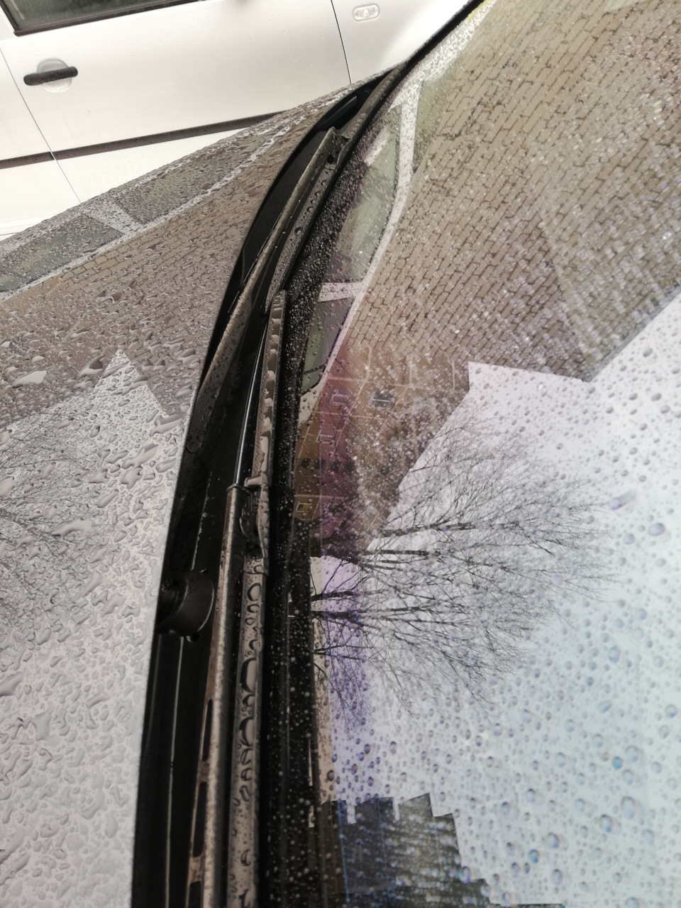 Фото в бортжурнале Audi A6 Avant (C6)