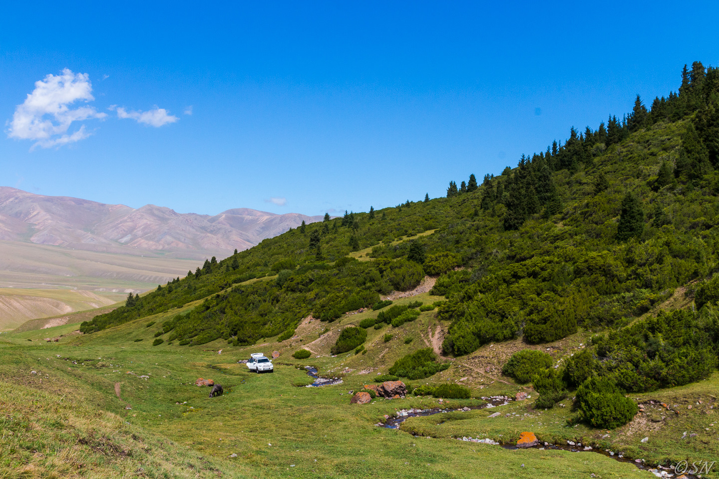 Высокогорное плато. Плато Ассы Казахстан. Ассы Тургень. Плато Ассы фото.