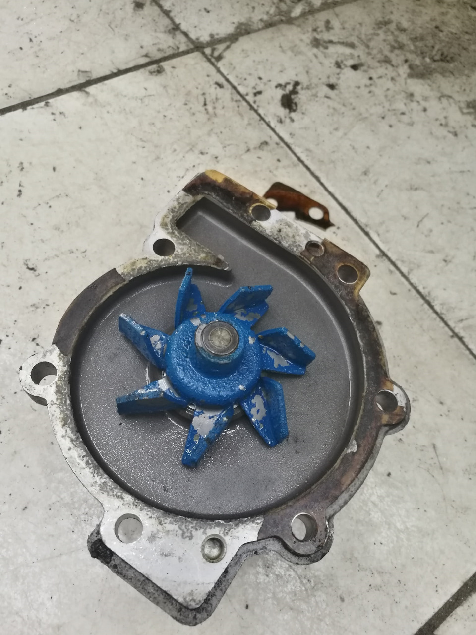 Старая помпа имела минимальный осевой люфт, но краска с лопастей слезла достаточно обильно — Volvo S40 (2G)