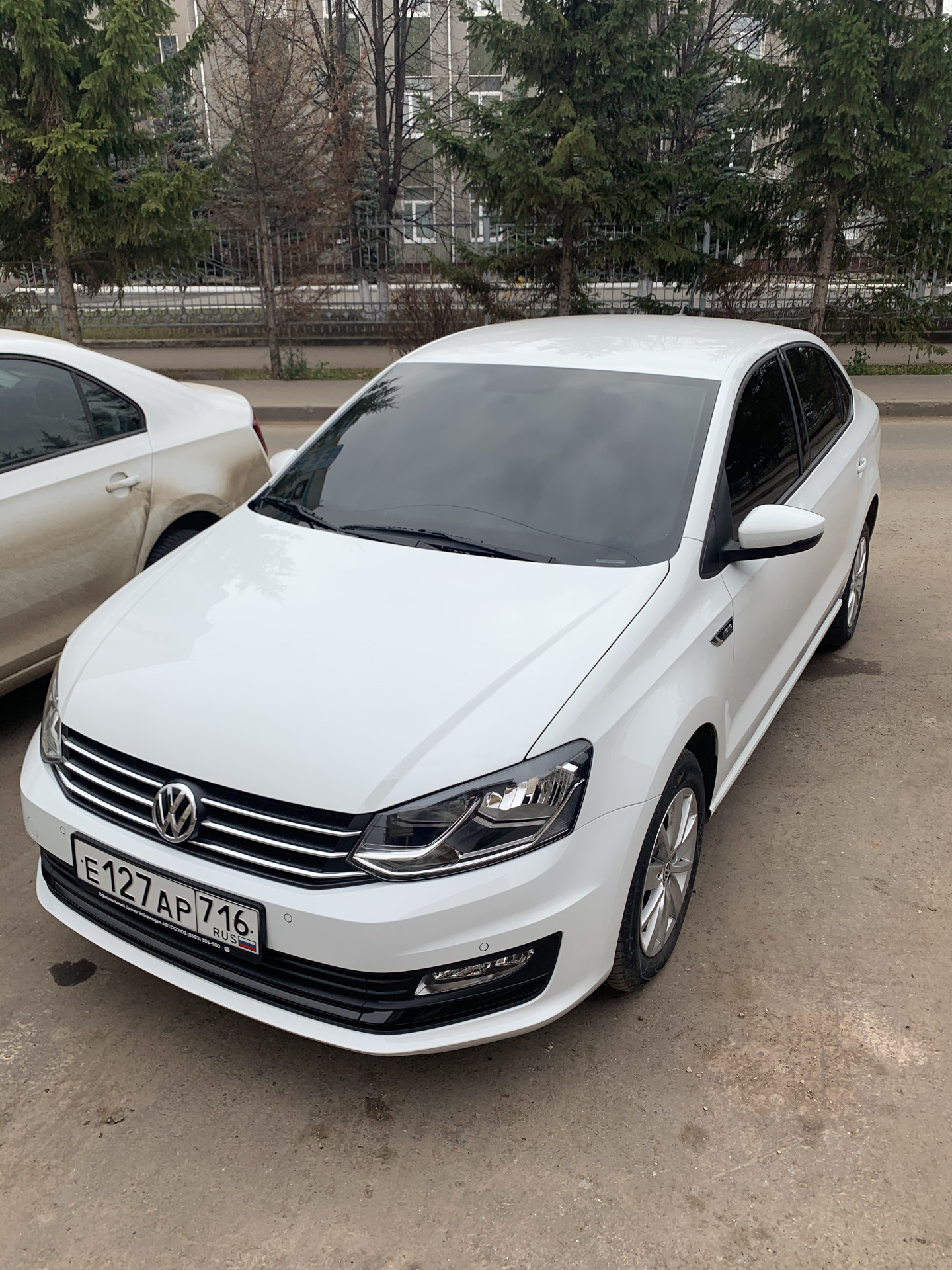 VW Polo тонированный