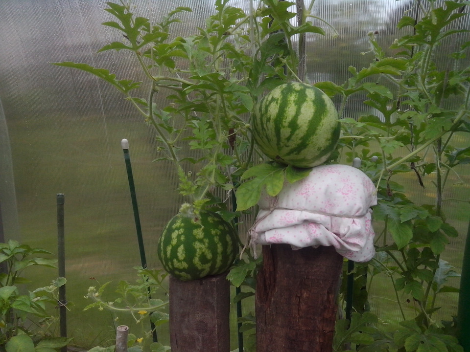 Перенос акб в багажник. — Mitsubishi Pajero iO, 1,8 л., 1998 года ...