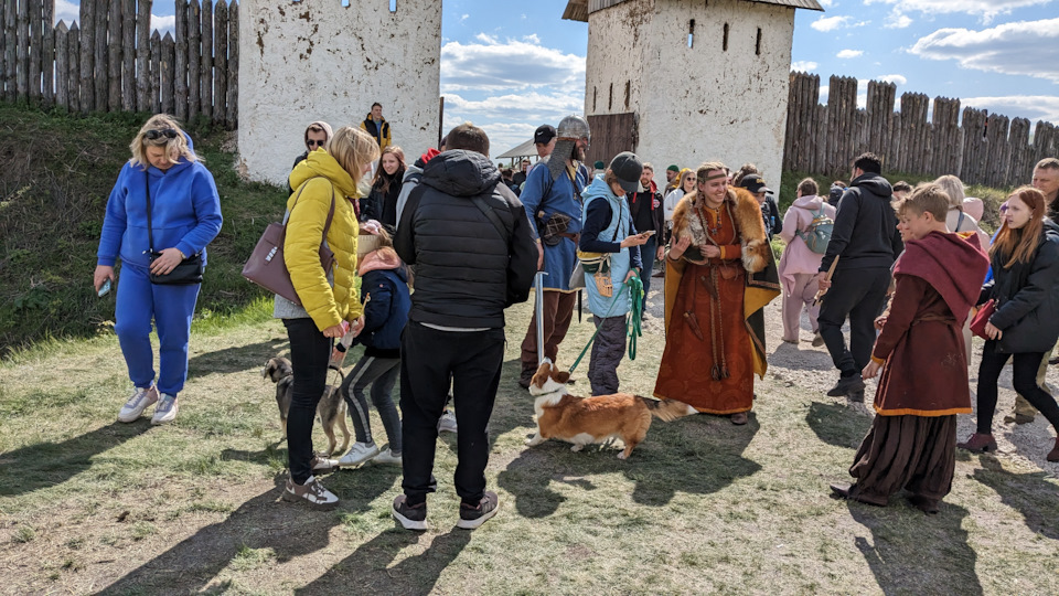 Фото в бортжурнале Renault Koleos (1G)