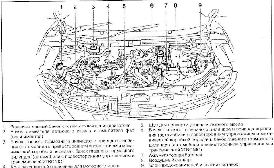 Фото в бортжурнале Nissan Qashqai (2G)