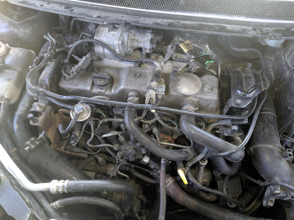 Замена прокладки ГБЦ Focus 2 1.8 TDCI — Ford Focus Hatchback II, 1,8 л ...
