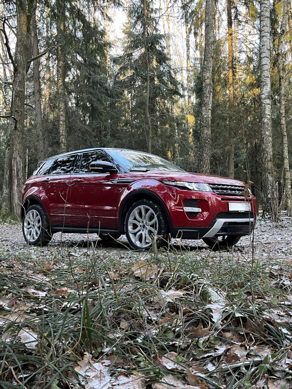 Замена подшипника + ТО ✔️ — Land Rover Range Rover Evoque, 2 л, 2012 года |  визит на сервис | DRIVE2