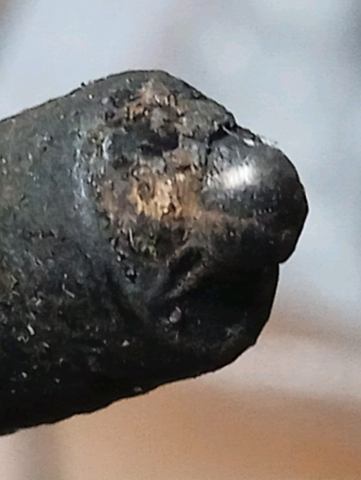 Солярка пошла в поддон — Ford Galaxy (Mk I), 1,9 л, 1999 года | своими ...