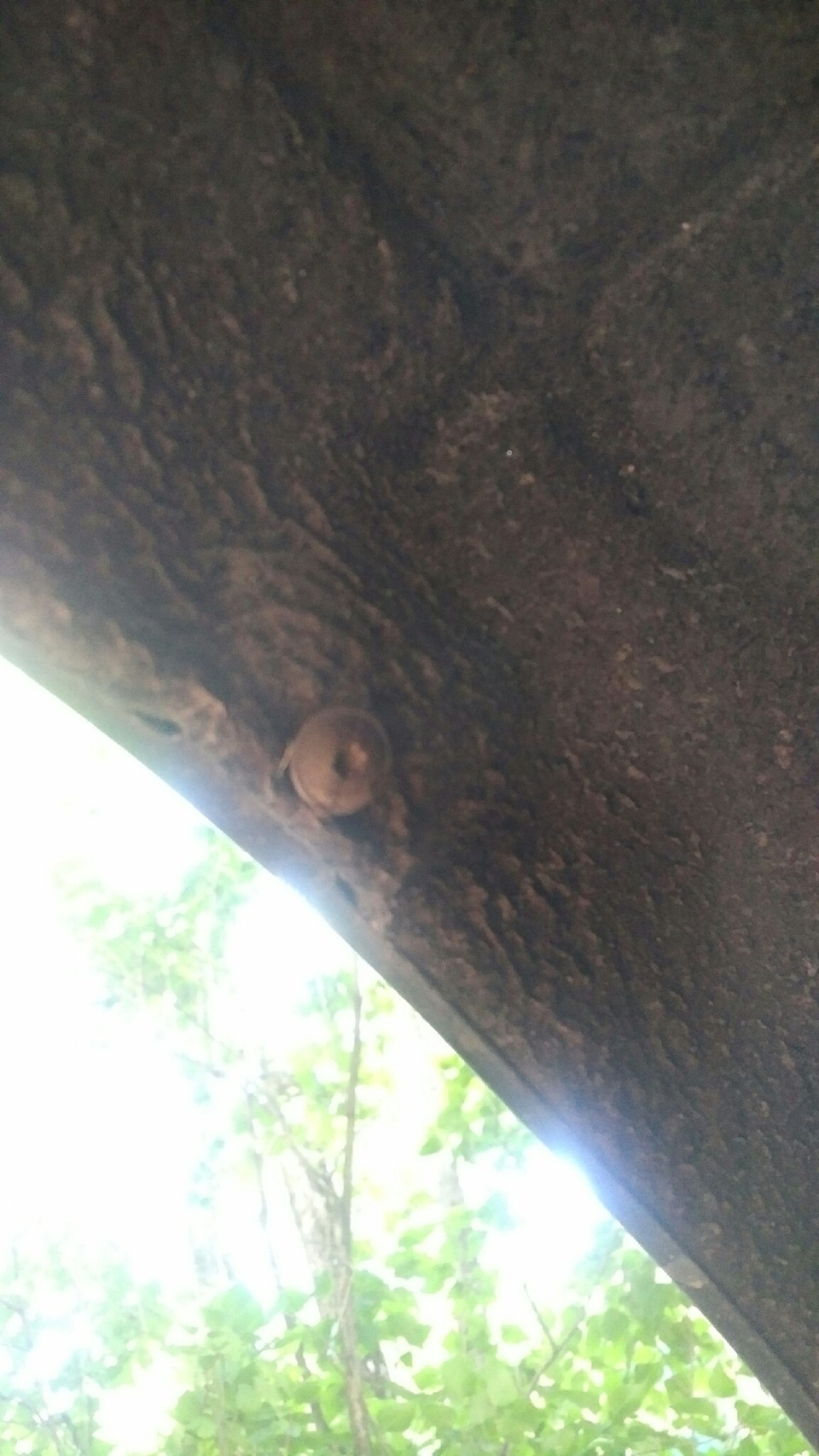 Фото в бортжурнале Skoda Octavia A5 Mk2